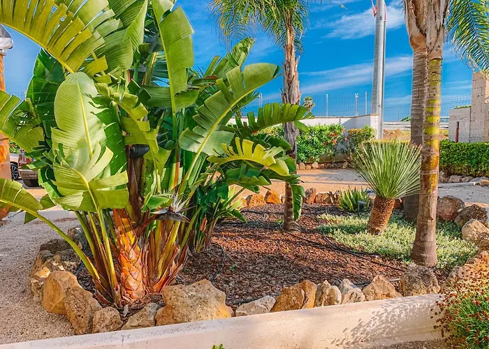 Coral Bed & Breakfast